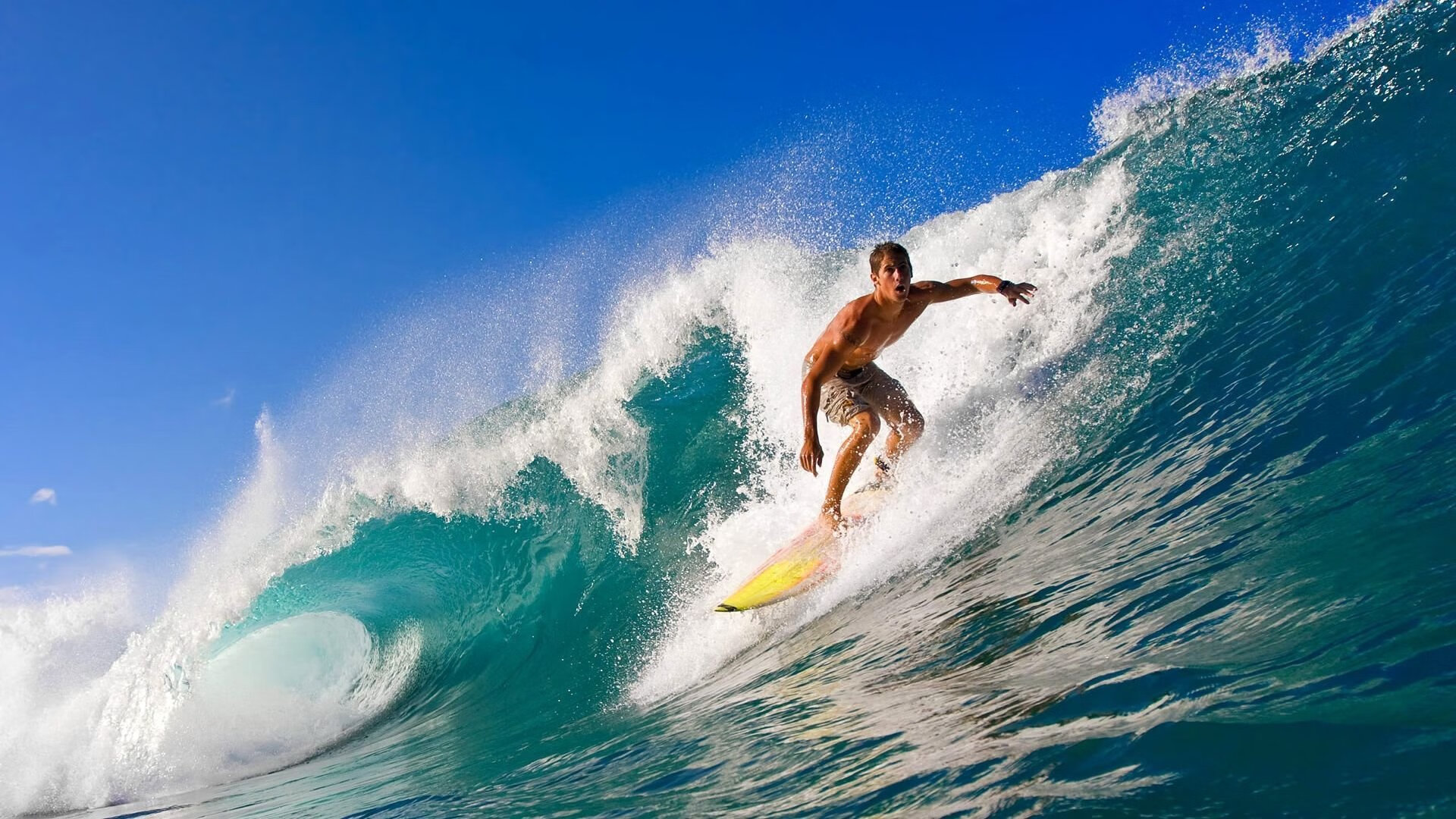 绝境中的双重奏，德国战车绝杀韩国，樊振东状态炽热如焰